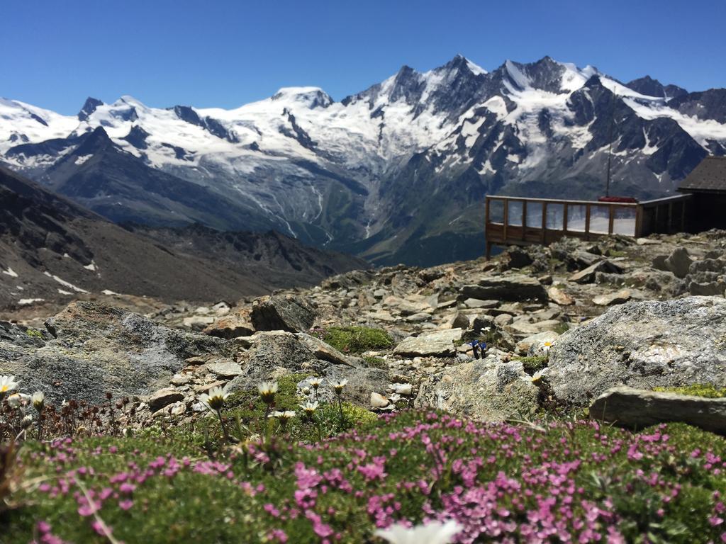 Chalet Alpentraum, Alte Gasse 20 萨斯格伦德 外观 照片