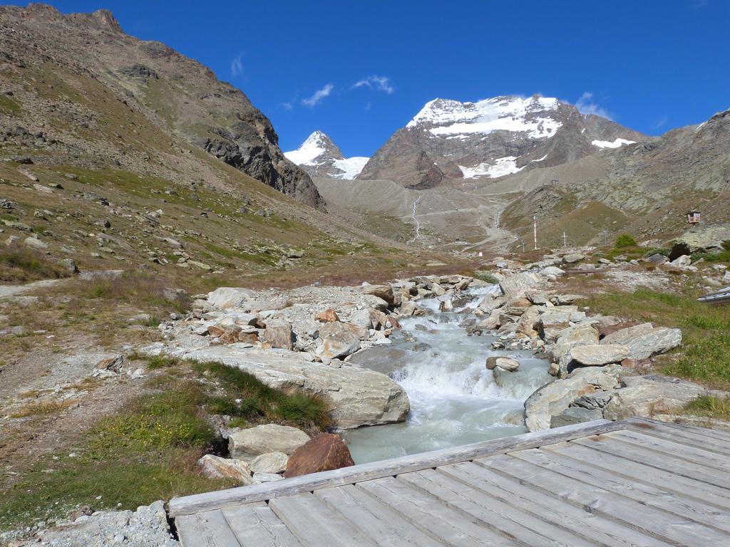 Chalet Alpentraum, Alte Gasse 20 萨斯格伦德 外观 照片